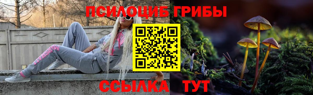 Псилоцибиновые грибы ЛСД Урус-Мартан